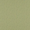 Futura_18-Spring_FlatShot.Jpg
